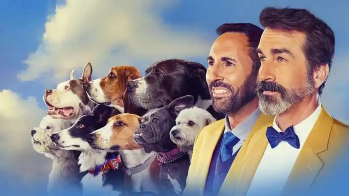 مشاهدة فيلم American Rescue Dog Show 2022 مترجم ماي سيما