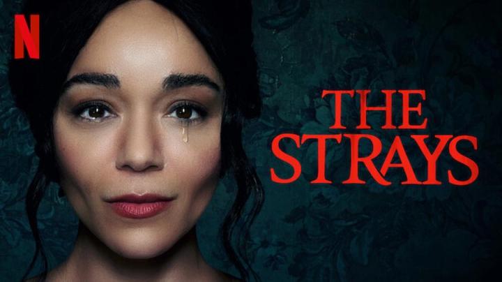 مشاهدة مشاهدة فيلم The Strays 2023 مترجم ماي سيما