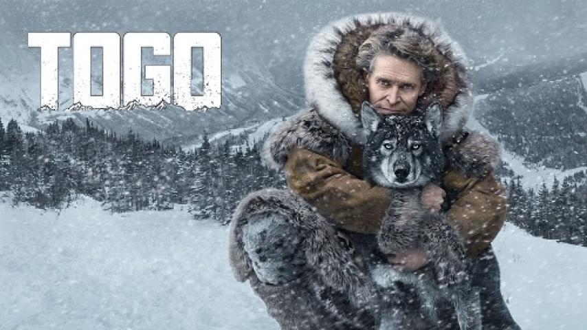 مشاهدة فيلم Togo 2019 مترجم ماي سيما